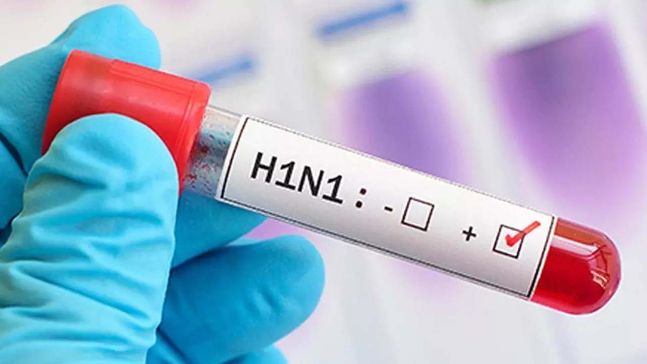 H1N1: ఢిల్లీలో స్వైన్ ఫ్లూ టెన్షన్.. గతేడాదితో పోల్చితే 8 రెట్లు పెరిగిన కేసులు..