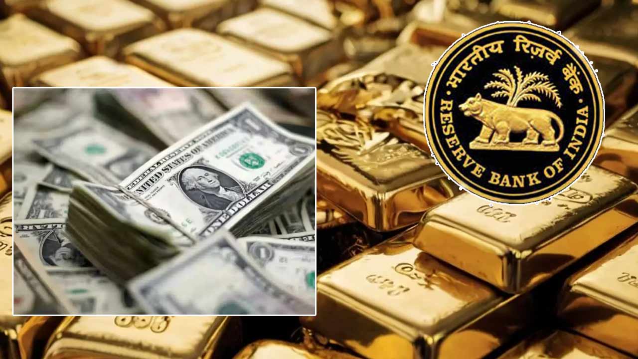 india forex reserves rise 9 9 billion to 716 9 billion
