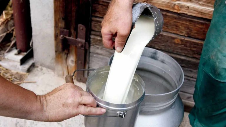 Milk Price Hike: పండుగ సీజన్‌కు ముందు మిల్క్ షాక్.. పాల ధర లీటరుకు రూ.102