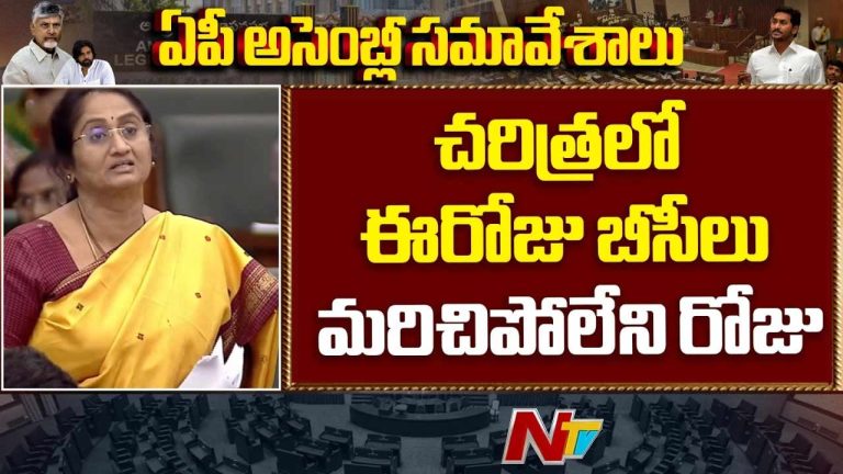 BC Reservation Bill: 34 శాతం బీసీ రిజర్వేషన్లపై ఏపీ అసెంబ్లీలో బిల్లు.. మంత్రి సవిత కీలక ప్రకటన