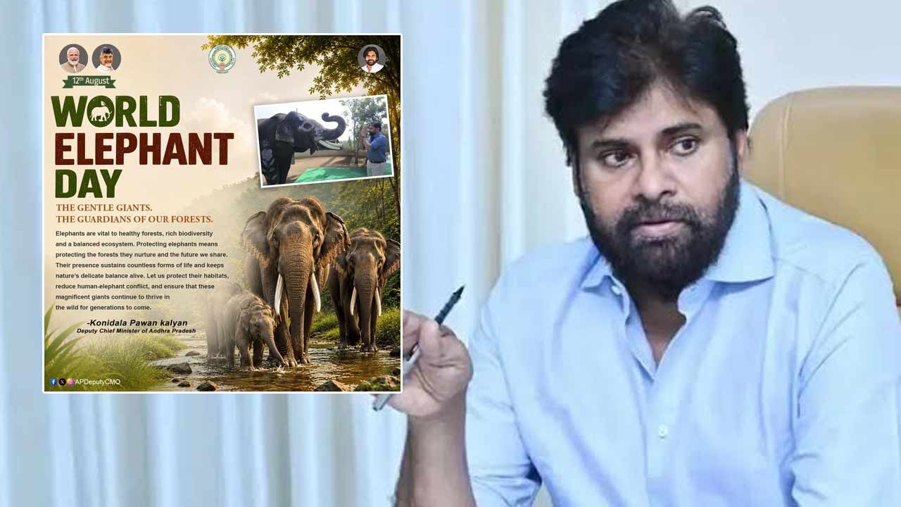 pawan kalyan highlights elephant conservation on world elephant day
