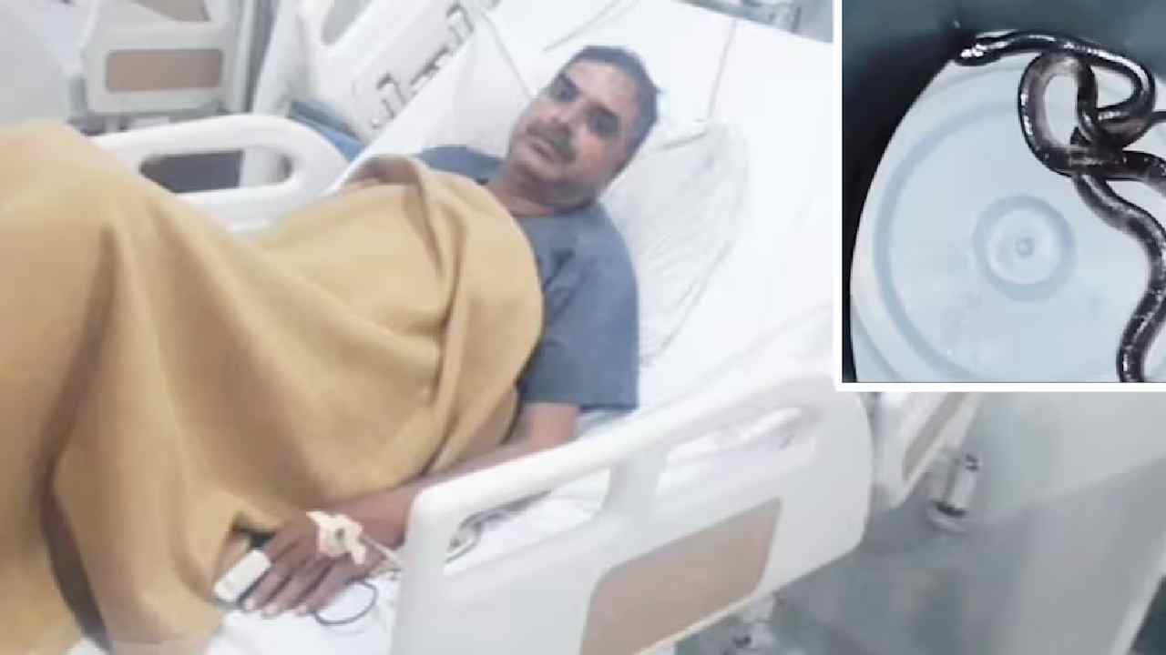 Snake bite: కానిస్టేబుల్‌ను కాటేసిన పాము.. AI సాయంతో దక్కిన ప్రాణాలు..