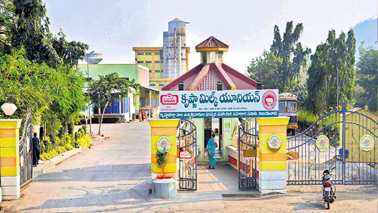 vijaya dairy chairman post tdp defers selection amid mla proposals
