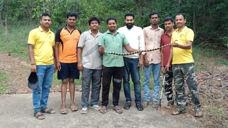 Banded Krait Snake: వరంగల్ జిల్లాలో డేంజరస్ స్నేక్.. ‘బాండెడ్ క్రైట్‌’గా గుర్తించిన అటవీ అధికారులు!