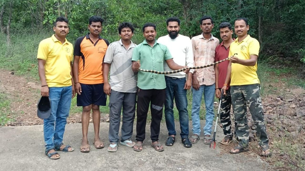 warangal banded krait snake spotted in ashok nagar forest officials alert