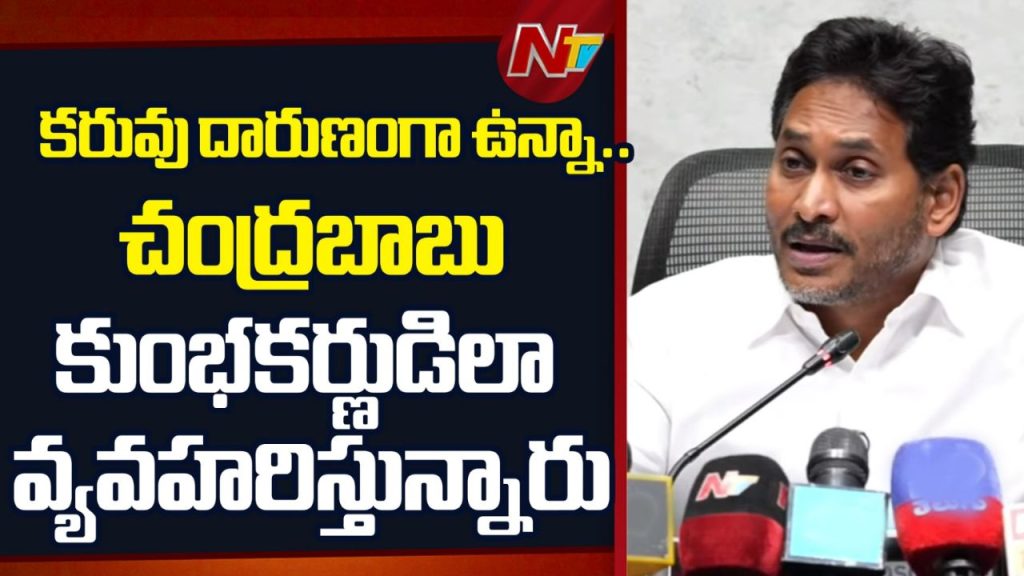 Ys Jagan Slams Cm Chandrababu