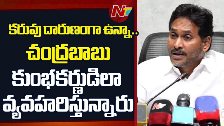 YS Jagan: వర్షాలు లేక సంక్షోభం వస్తే.. సీఎం చంద్రబాబు మానవత్వం లేకుండా ప్రవర్తిస్తున్నారు!