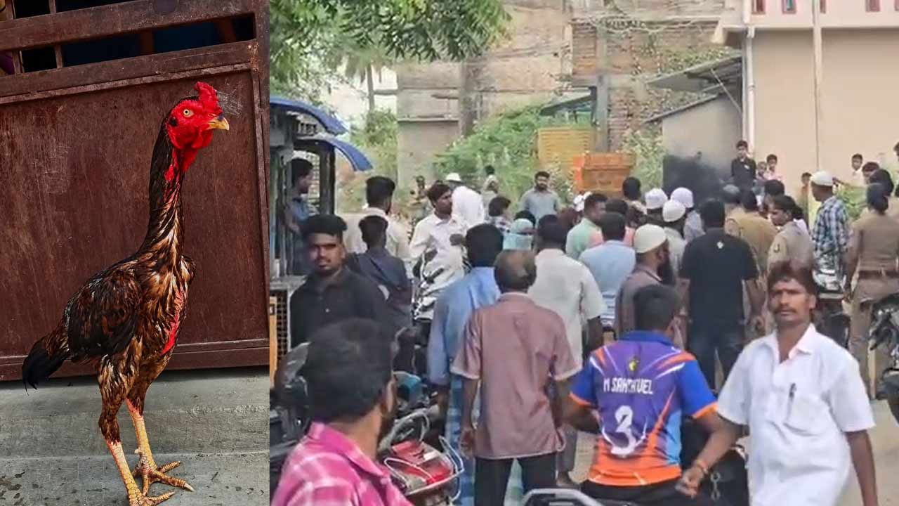 rs 25000 cock leads to fight among young men in tamil nadu