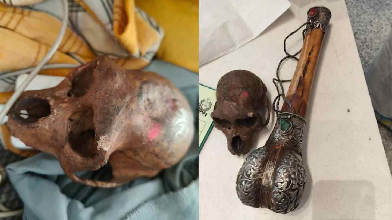 monkey skull found in passengers handbag at delhi airport cisf hands over passenger to police