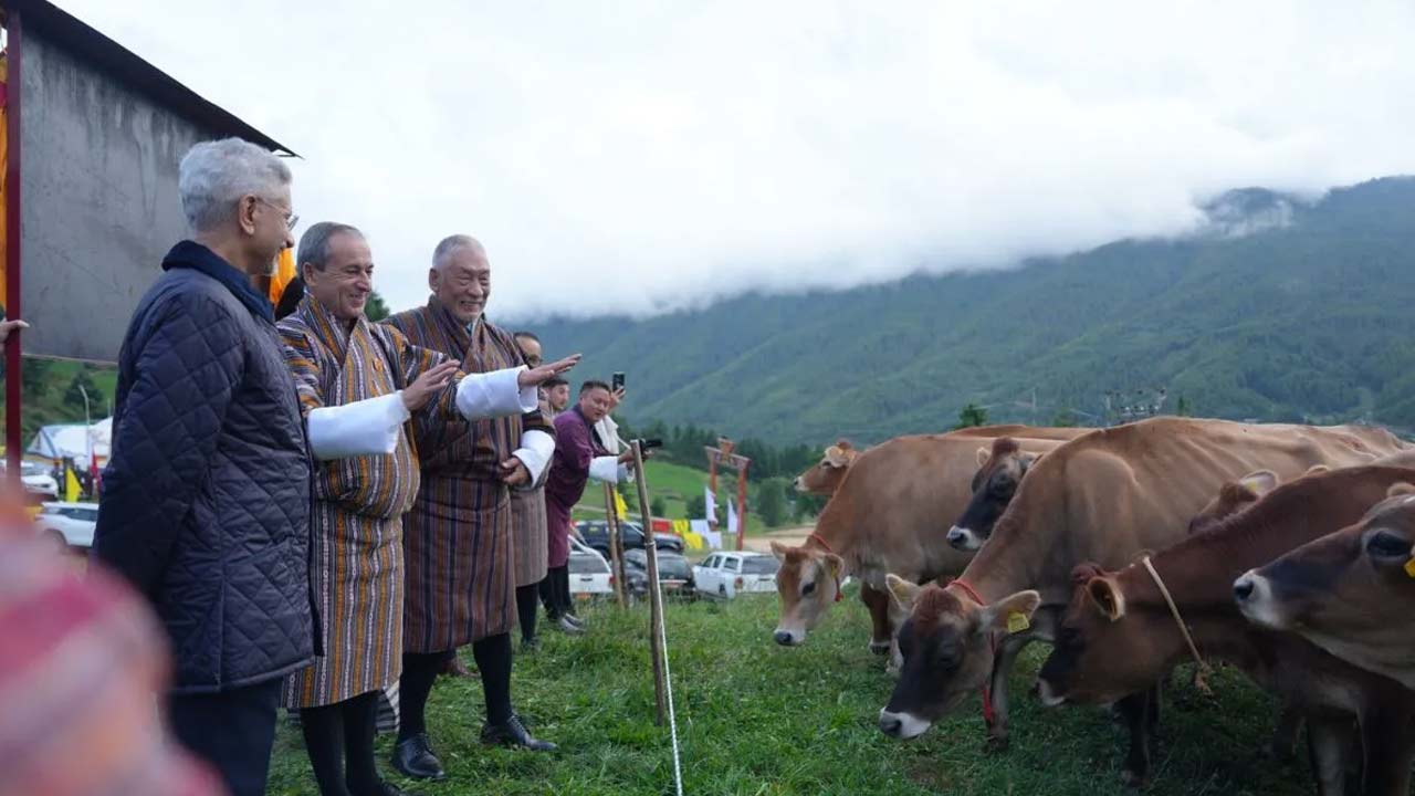 why did india gift 43 jersey cows to bhutan jaishankar explains
