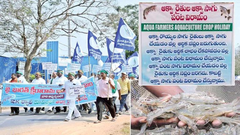 Aqua Farmers Crop Holiday: సమస్యలు పరిష్కరించకపోతే క్రాప్ హాలిడే.. ఆక్వా రైతుల డెడ్‌లైన్