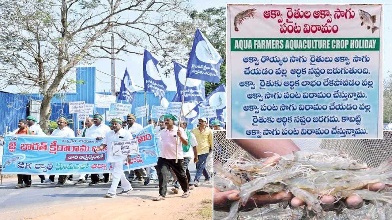 Aqua Farmers Crop Holiday: సమస్యలు పరిష్కరించకపోతే క్రాప్ హాలిడే.. ఆక్వా రైతుల డెడ్‌లైన్