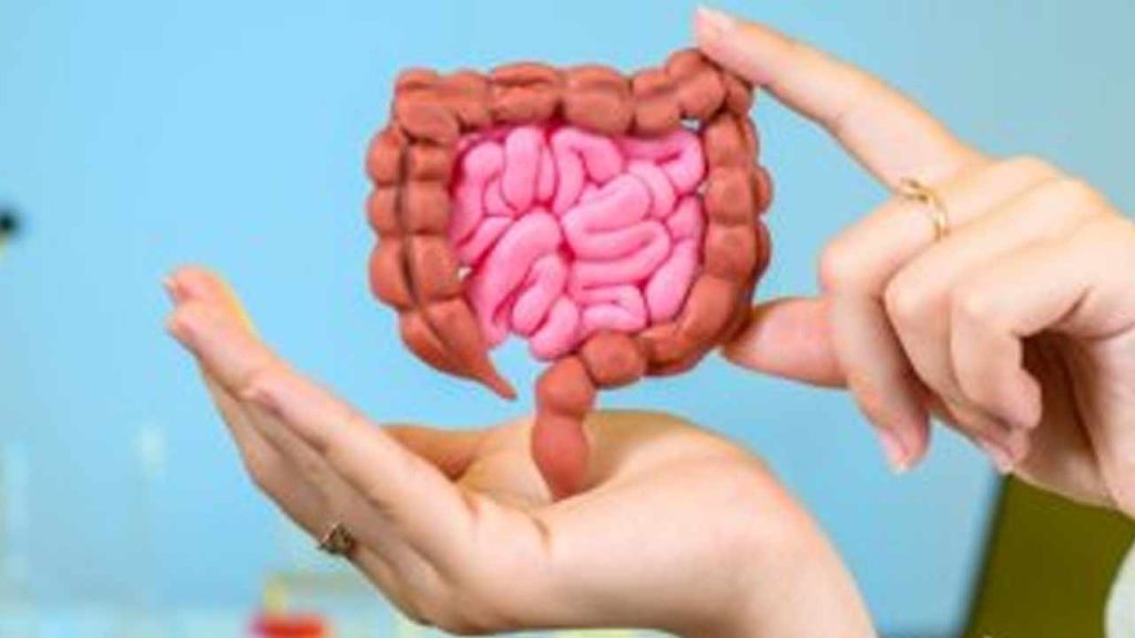 Gut Health