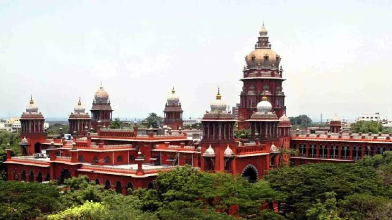 madras hc divorce pug remark radical feminists court controversy