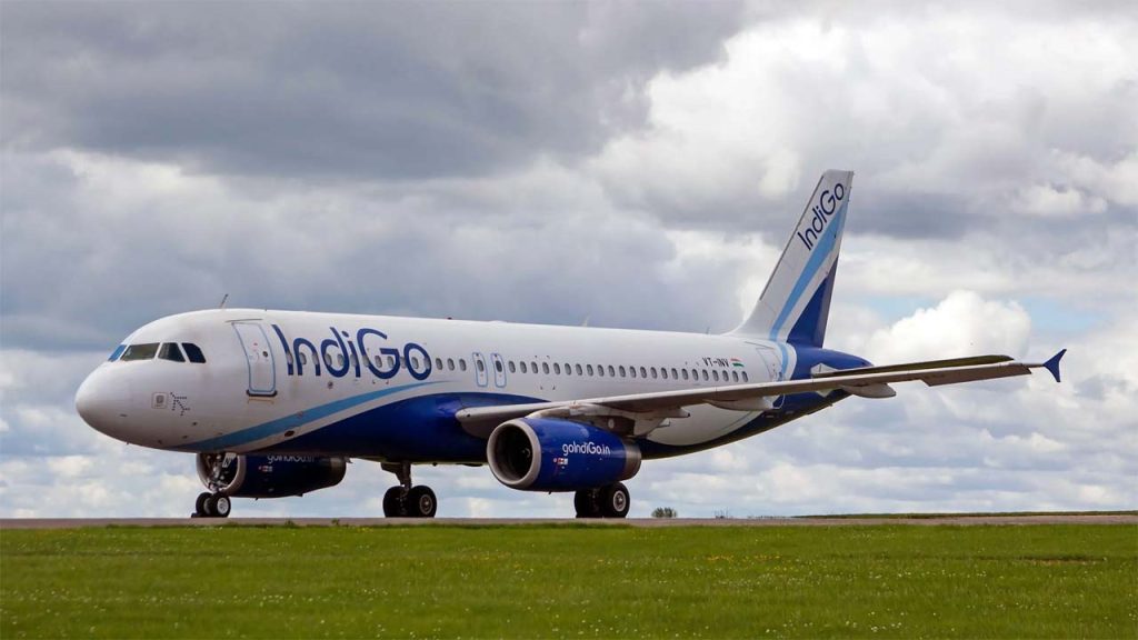 Indigo