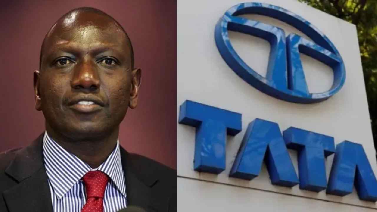 tata chemicals kenya why president william ruto ordered the company to stop operations