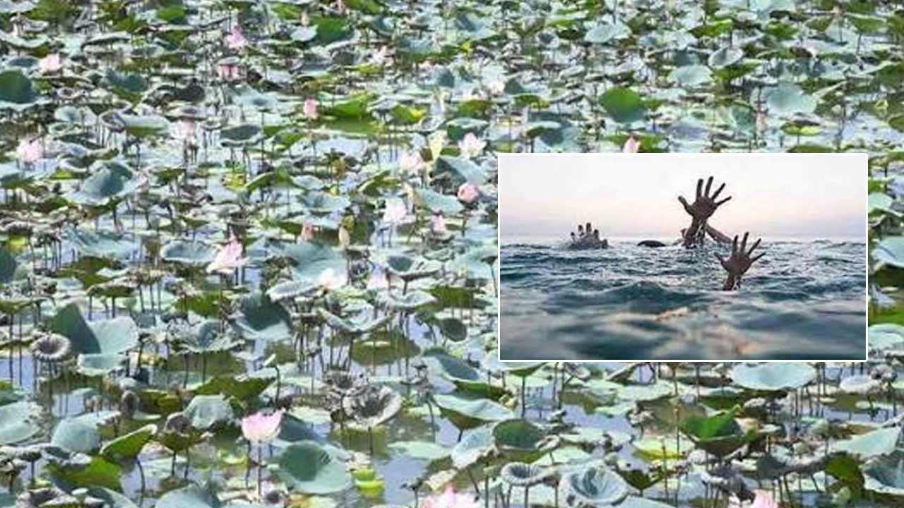 Korukonda Tragedy: వినాయక చవితి వేళ విషాదం.. కలువ పువ్వుల కోసం వెళ్లి ఇద్దరు మృతి