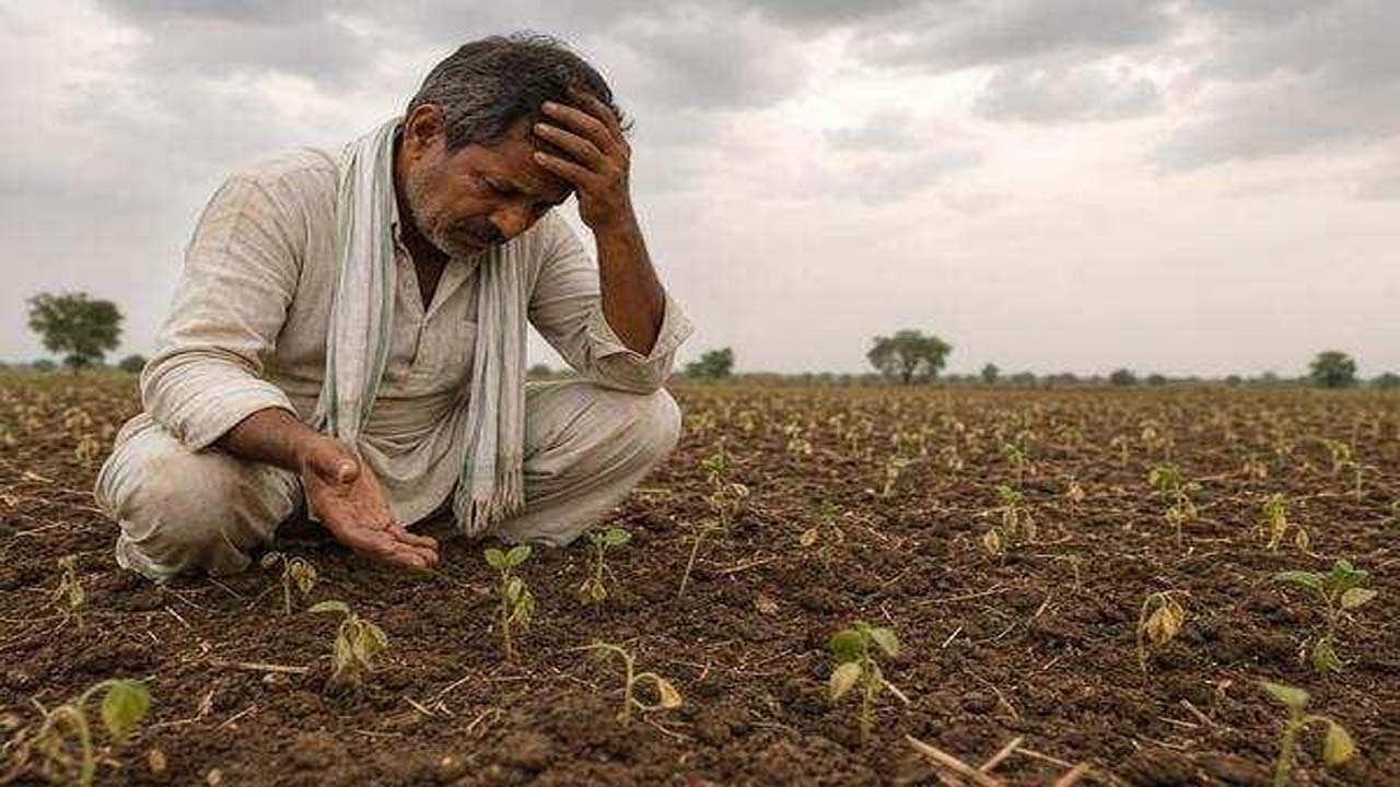 Maharashtra: మహారాష్ట్రలో కరవు ఛాయలు.. 265 తాలూకాలు ప్రభావిత ప్రాంతాలుగా ప్రకటన
