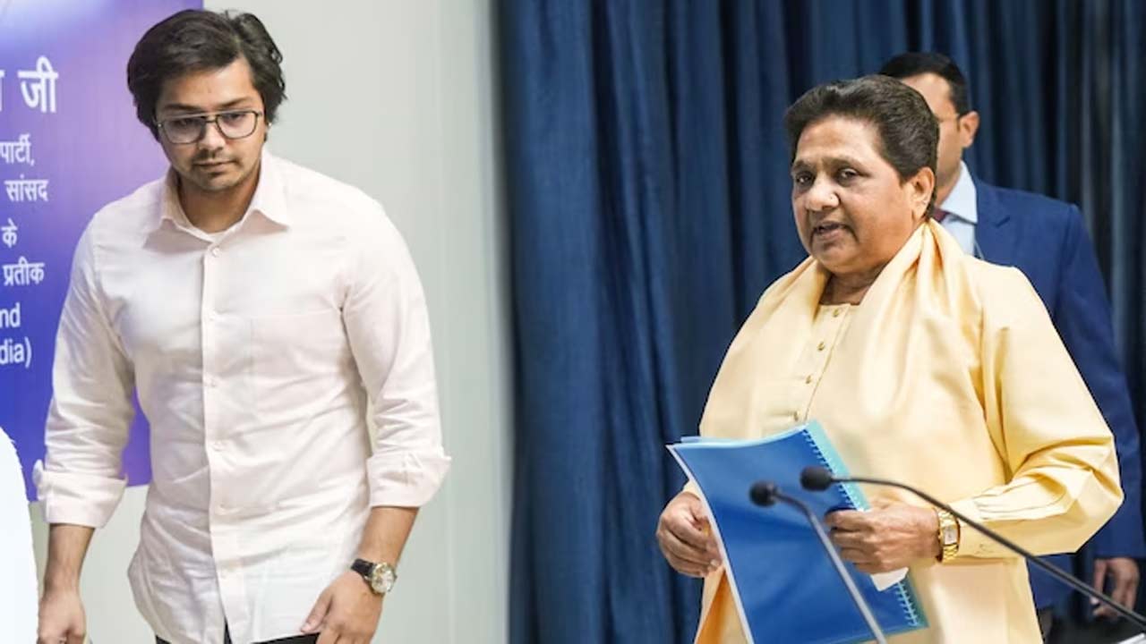 mayawati removes akash anand bsp key post ahead of up polls