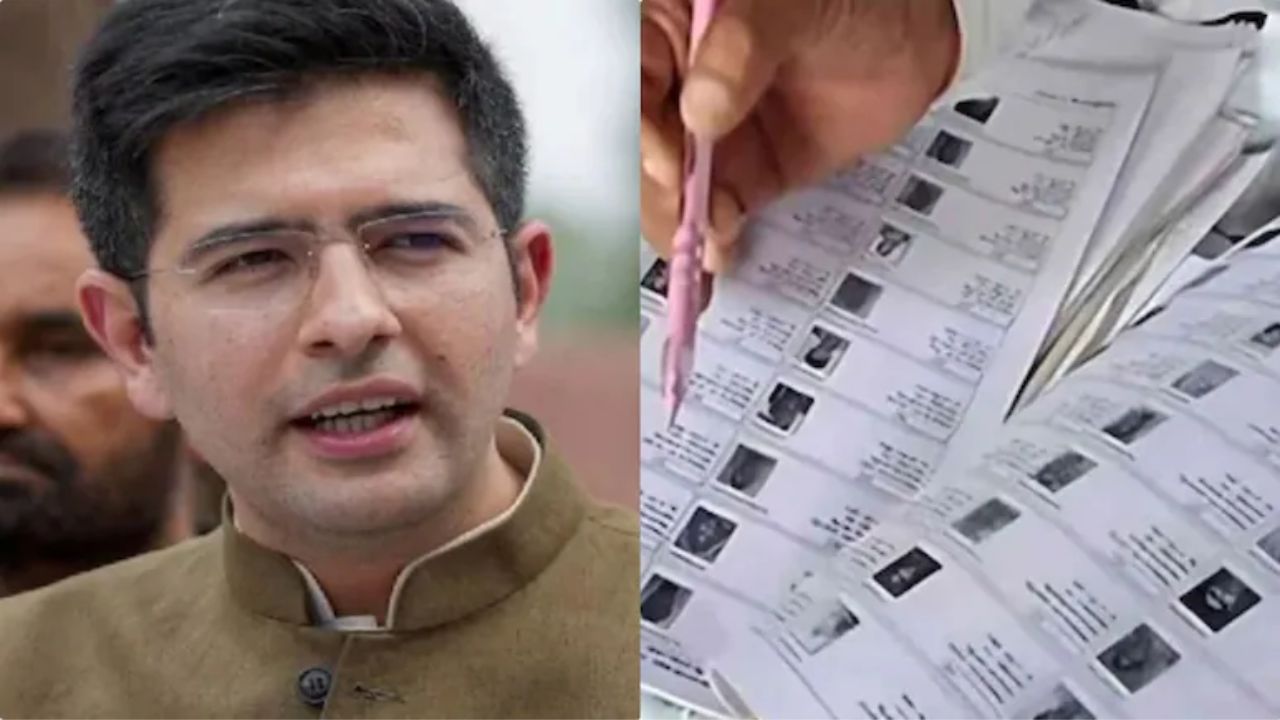 raghav chadha bjp punjab voter list political vendetta