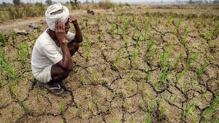 Telangana Rainfall Deficit: తెలంగాణలో వానల కోసం ఎదురుచూపులు.. సెప్టెంబర్‌పైనే ఆశలు!