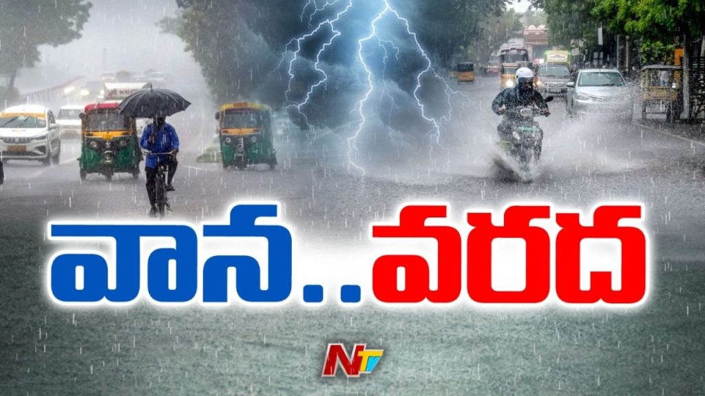 Rains Today
