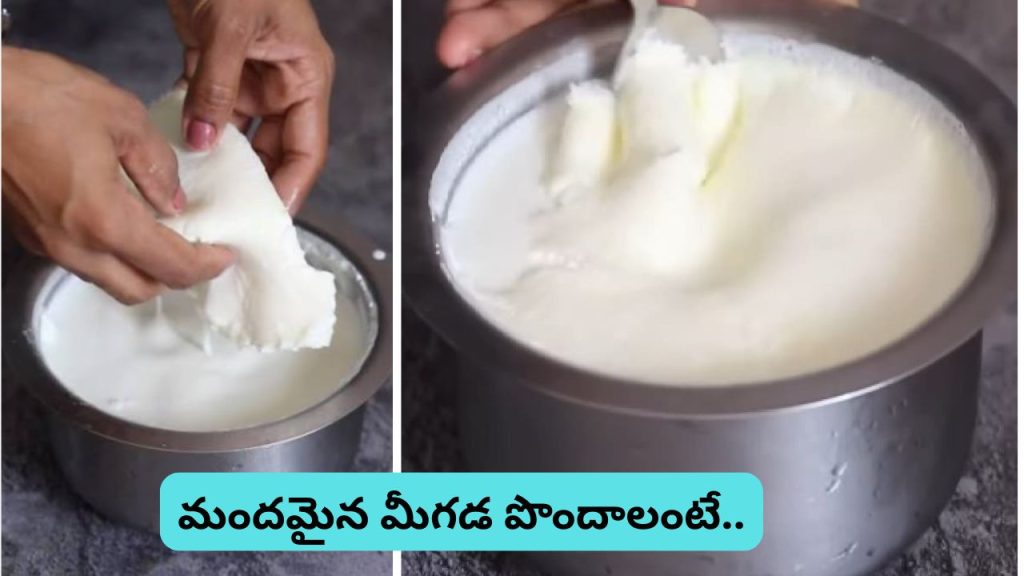 Thick Milk Cream