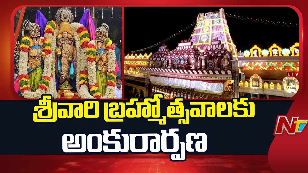 Tirumala Srivari Brahmotsavam 2026: నేటి నుంచి శ్రీవారి వార్షిక బ్రహ్మోత్సవాలు.. తిరుమలలో భారీ ఏర్పాట్లు