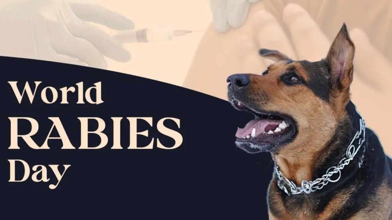 World Rabies Day 2026 : కుక్క కాటు.. ఈ 15 నిమిషాలు మిస్ అయితే డేంజర్.!