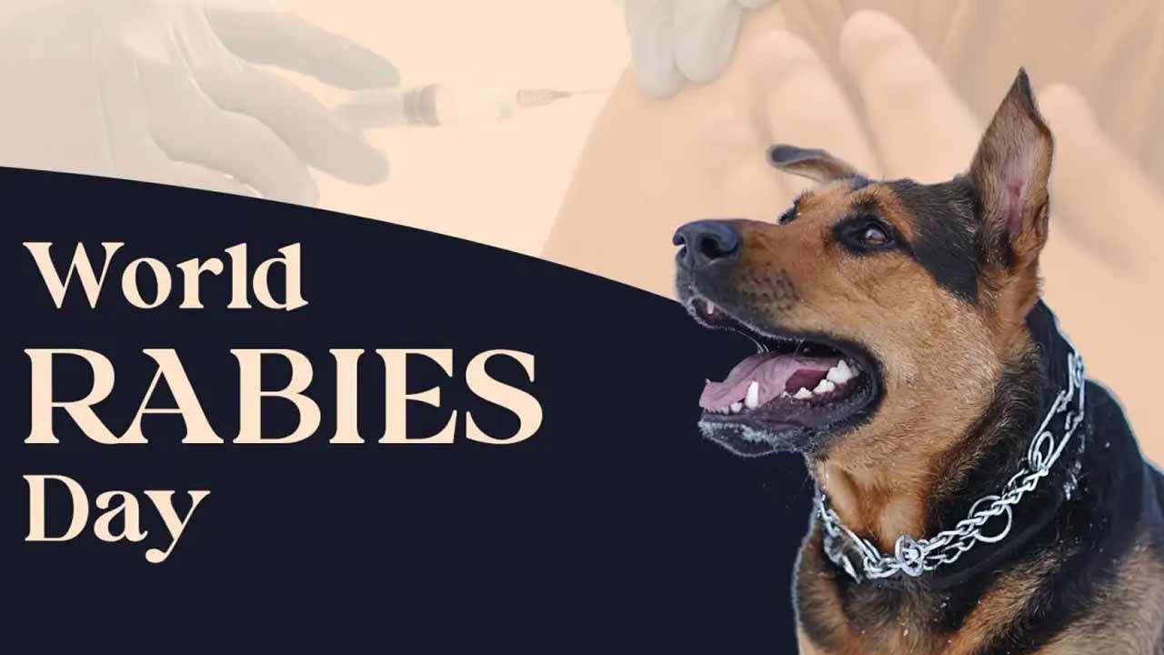 World Rabies Day 2026 : కుక్క కాటు.. ఈ 15 నిమిషాలు మిస్ అయితే డేంజర్.!
