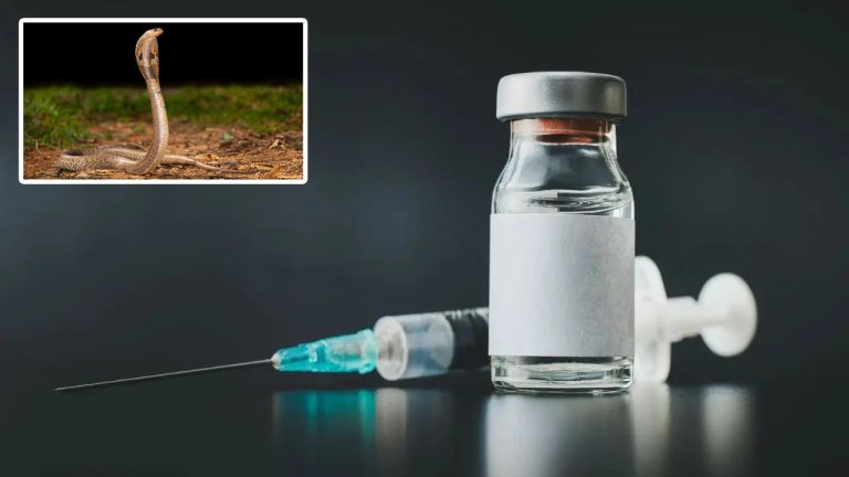 Antivenom: ఇక డోంట్ వర్నీ.. పామువిషానికి చెక్ పెట్టే సరికొత్త యాంటీవెనమ్ వచ్చేసింది!