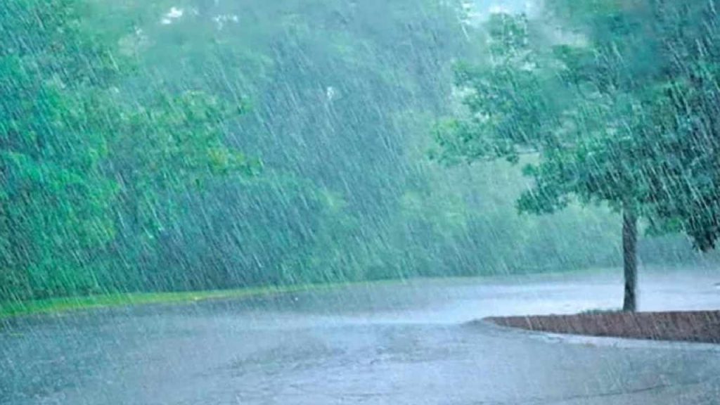 Rains