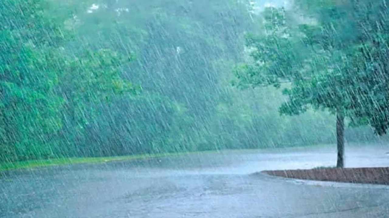 Telangana Rains : తెలంగాణలో కుండపోత.. మహబూబాబాద్‌లో 19.1 సెం.మీ వర్షం