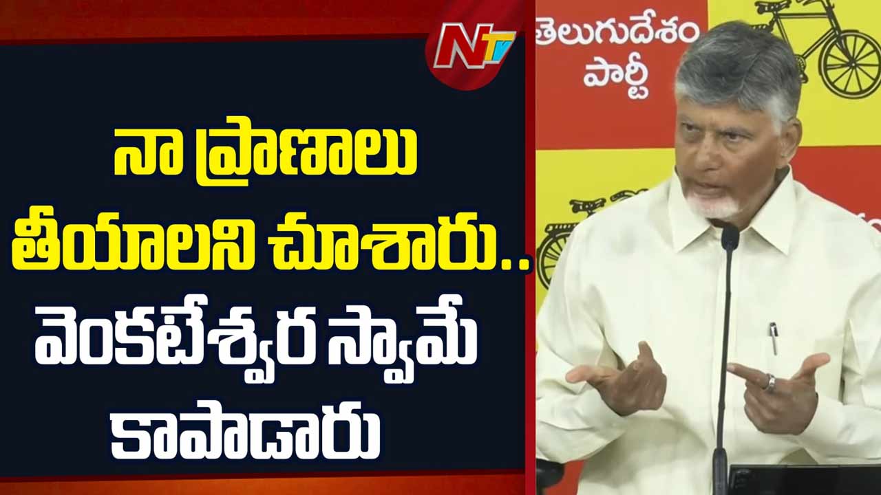 chandrababu naidu criticizes ysrcp over law and order in ap