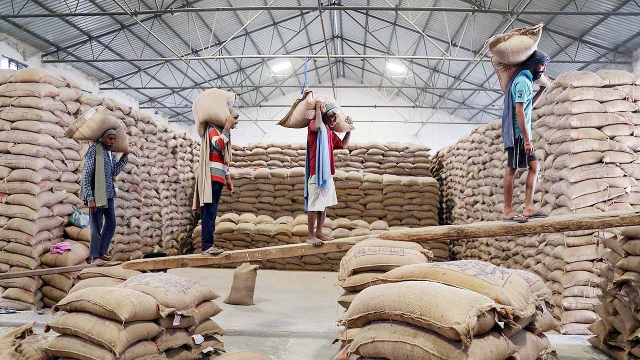india rice exports earn rs45739 crore in 5 months basmati and non basmati growth