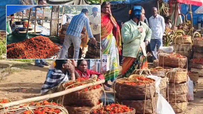 Marigold Farmers: దసరా వేళ బంతిపూలకు ధరలేవీ? రైతులకు తీవ్ర నిరాశ!