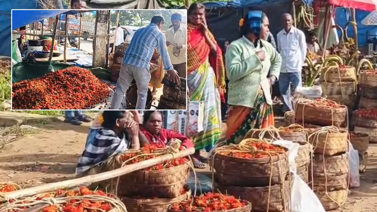 Marigold Farmers: దసరా వేళ బంతిపూలకు ధరలేవీ? రైతులకు తీవ్ర నిరాశ!