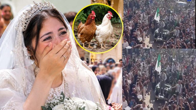 Orphaned Wedding: పెళ్లికి రెండు కోళ్లను దానం చేయాలని అనాథ బాలిక విజ్ఞప్తి.. రెస్పాన్స్ ఏ రేంజ్‌లో ఉందంటే..!