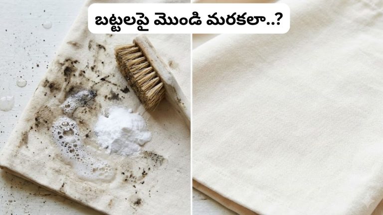 Remove Stubborn Stains: ఈ ఒక్క చిట్కా పాటిస్తే చాలు.. బట్టలపై ఉండే ఎంతటి జిడ్డు, మొండి మరకలైనా ఇట్టే వదలాల్సిందే..!