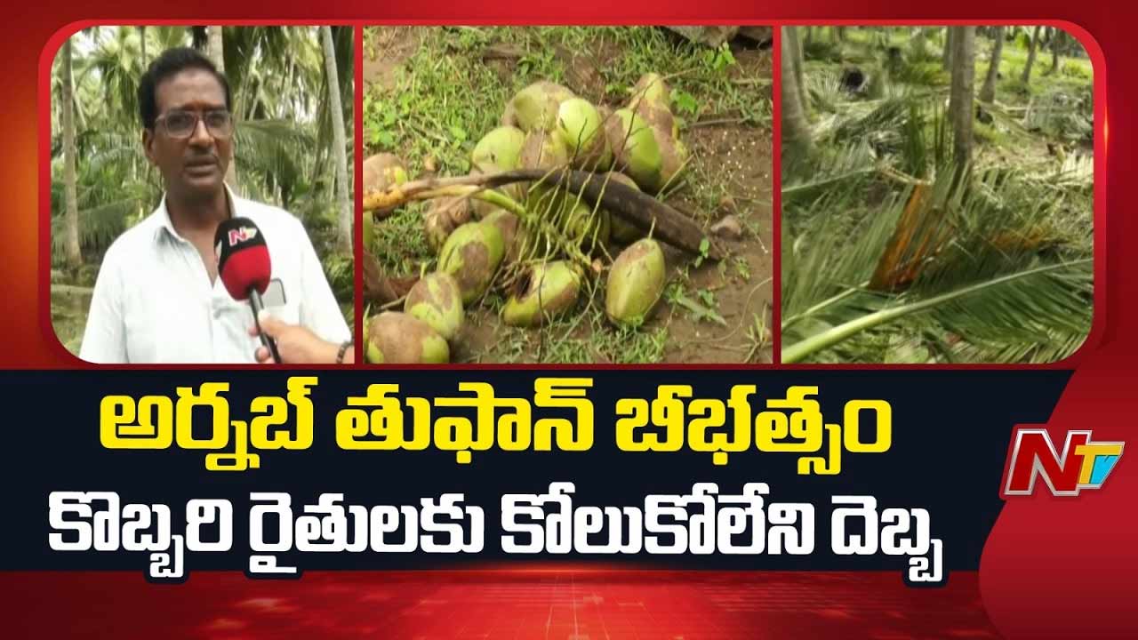 arnab cyclone coconut farms damage in narsapur mogalthur