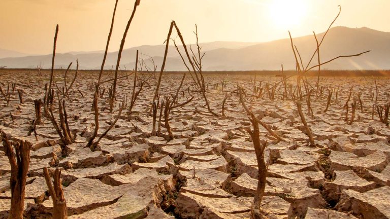 El Nino: ఎల్‌నినో ఎదుర్కొనేందుకు తెలంగాణ సర్కార్‌ రంగంలోకి ..10 జిల్లాలకు ప్రత్యేక ఐఏఎస్‌లు