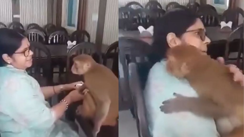 Viral Video