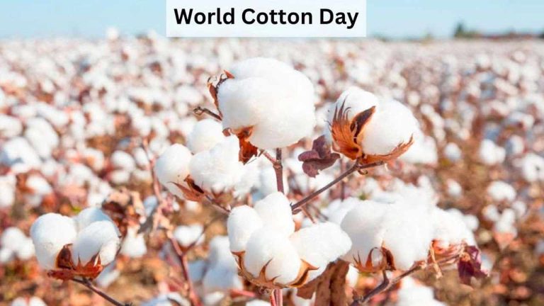World Cotton Day: నేల నుంచి నేత వరకు.. తెల్ల బంగారం తెలంగాణ గుండెచప్పుడు..!
