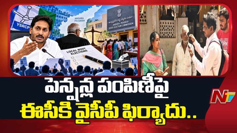 YSRCP: పింఛన్ల పంపిణీపై వైసీపీ ఫిర్యాదు.. టీడీపీకి చెక్ పెట్టాలని డిమాండ్