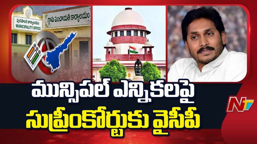 Ysrcp